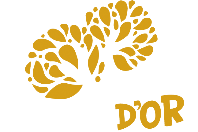 Logo Age d'Or de France fond transparent